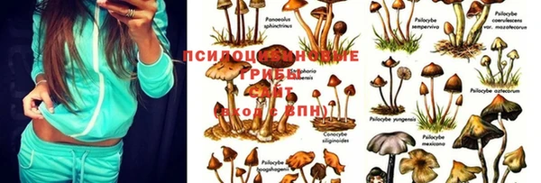 кокаин VHQ Покачи