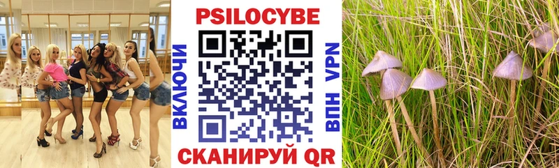 Купить  Слюдянка  Псилоцибиновые грибы GOLDEN TEACHER 